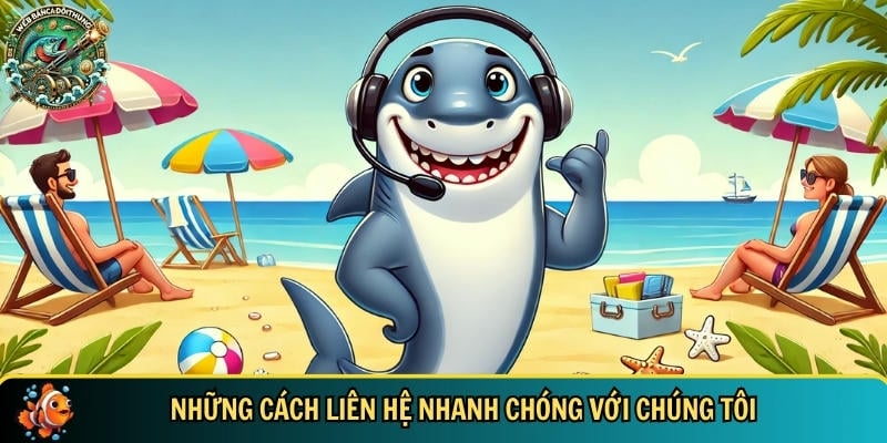 Tổng hợp các hình thức liên hệ nhanh chóng với chúng tôi