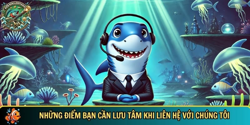 Một vài điều cần lưu ý trước khi bạn liên hệ với chúng tôi