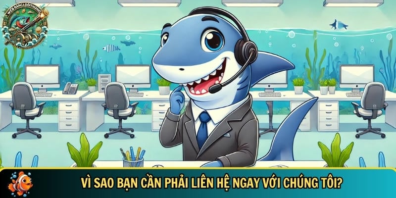 Những lợi ích tuyệt vời khi liên hệ với đội ngũ CSKH webbancadoithuong.com